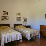 Le Matine Di San Teodoro *
