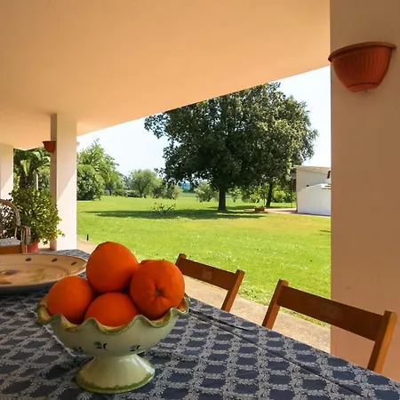Le Matine Di San Teodoro Metapont